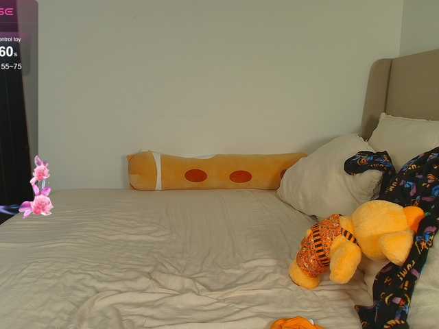 Preview of liloshroxy