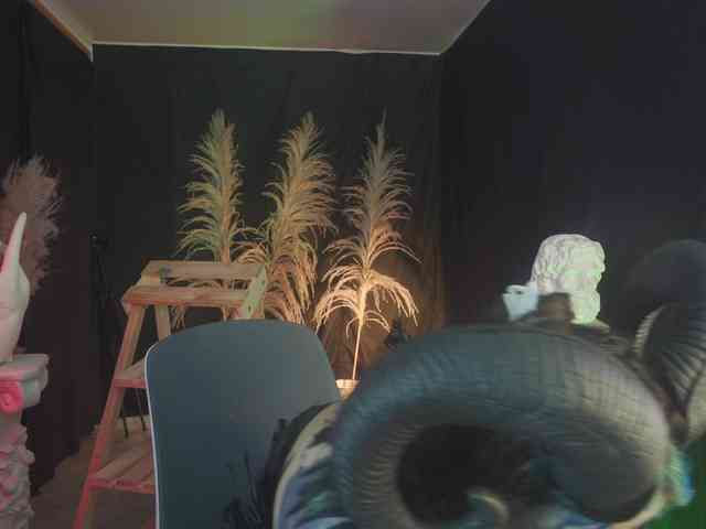 Angelacianuro webcam
