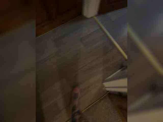 Joeysixxx Live Webcam on BongaCams