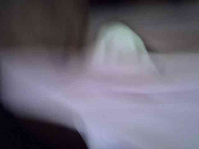 Hotberry webcam
