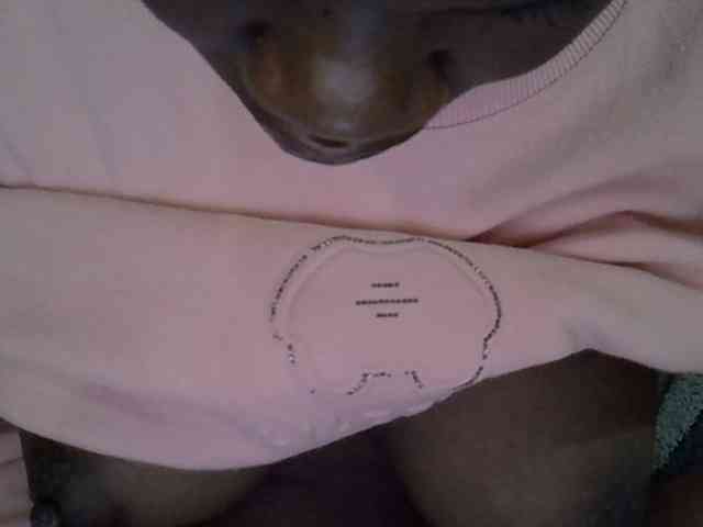 Hotberry webcam