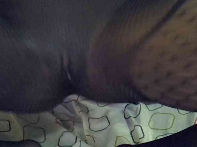 Hotberry webcam