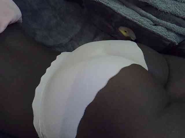 Hotberry webcam