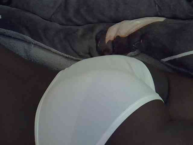 Hotberry webcam