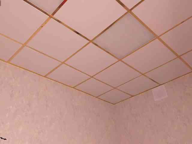 Blossom-Sonya webcam