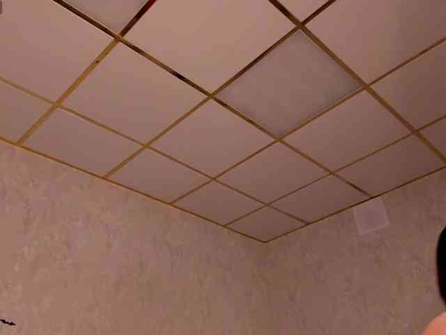 Blossom-Sonya webcam