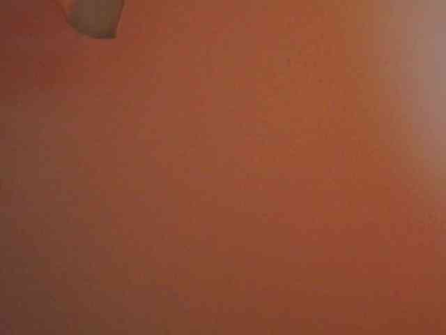 Verapink webcam