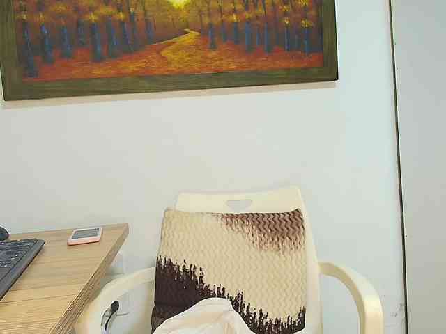 Verapink webcam