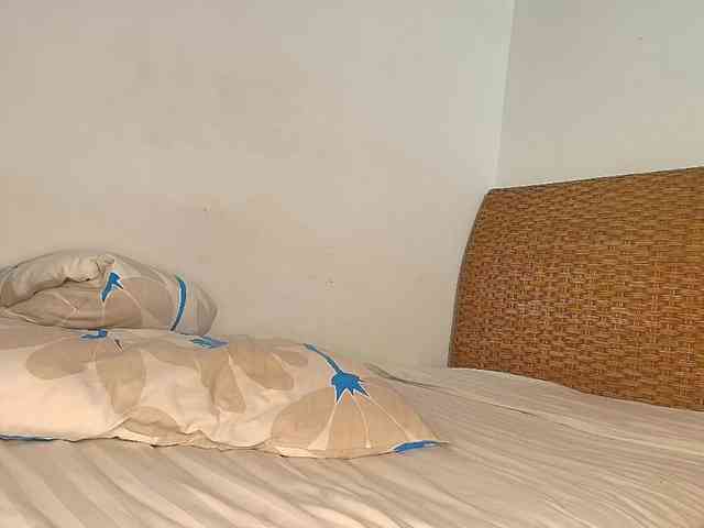 Verapink webcam