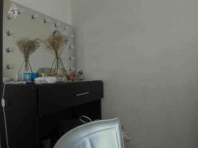 D11sney webcam