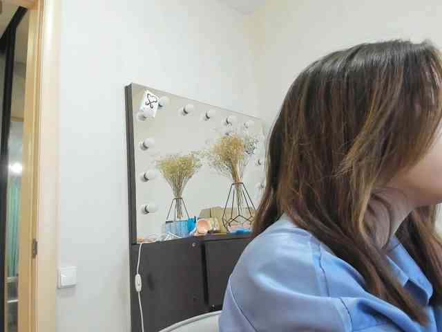 D11sney webcam