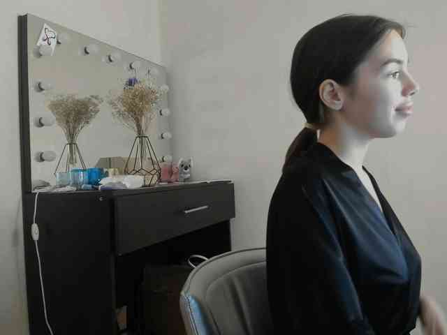 D11sney webcam