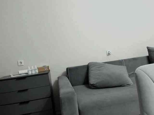 D11sney webcam