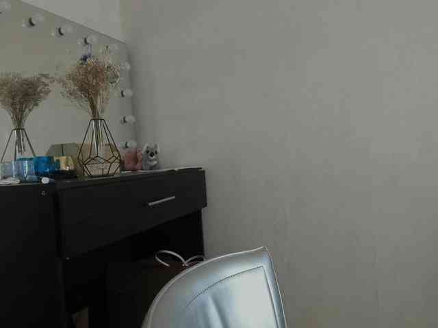 D11sney webcam