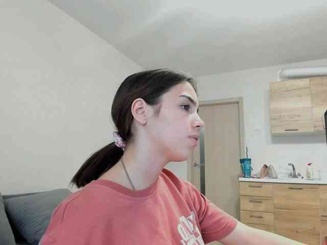 D11sney webcam