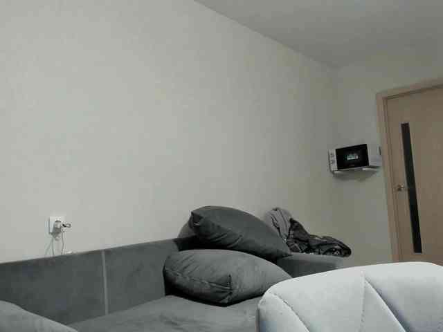 D11sney webcam