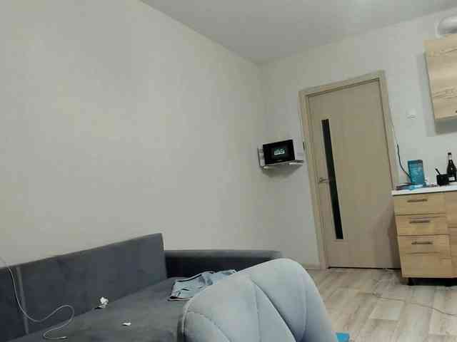 D11sney webcam