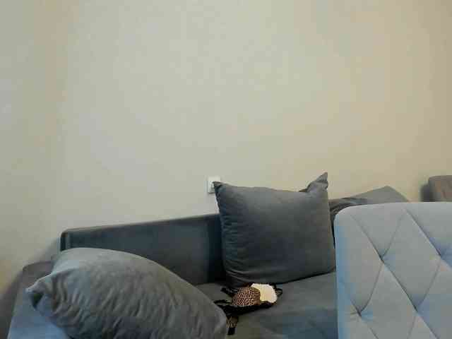 D11sney webcam