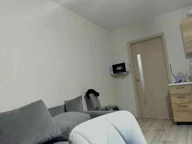 D11sney webcam