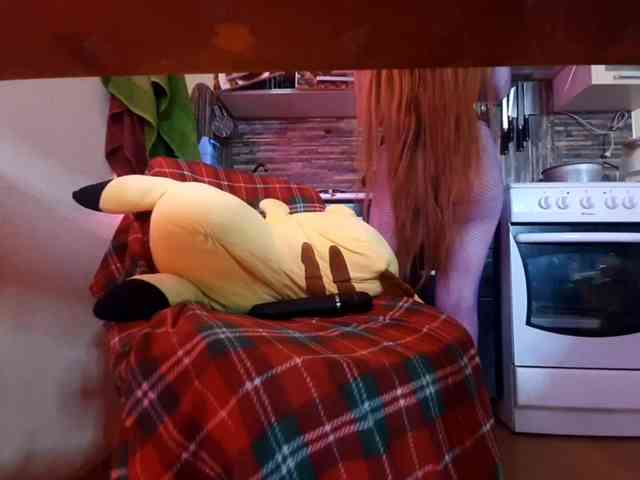Moon-shy webcam