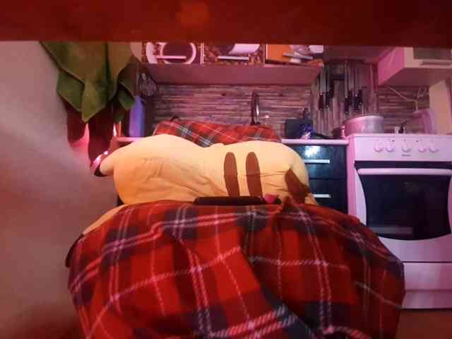 Moon-shy webcam