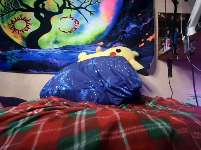 Moon-shy webcam