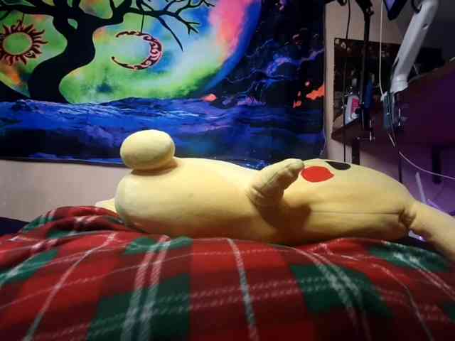 Moon-shy webcam
