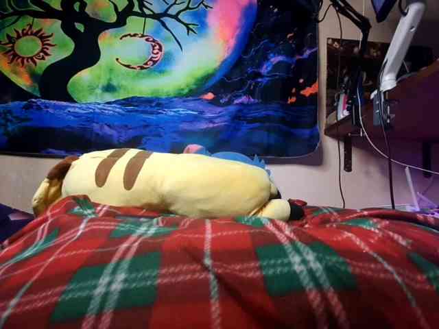 Moon-shy webcam