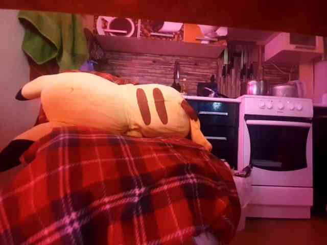 Moon-shy webcam