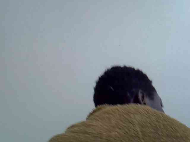 Pinkiec webcam