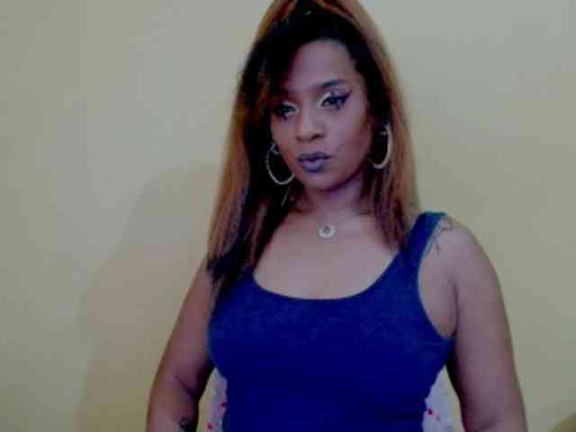 MizzCreator webcam