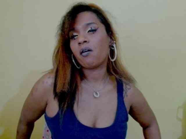 MizzCreator webcam