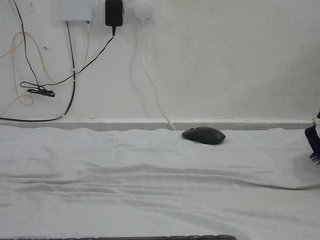Hairysquiter Porn Show