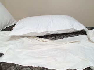 Hairysquiter Porn Show