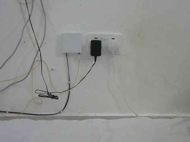 Hairysquiter webcam