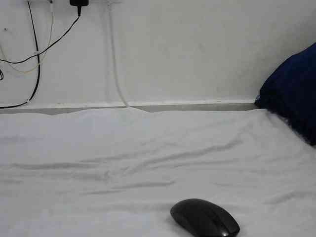 Hairysquiter webcam