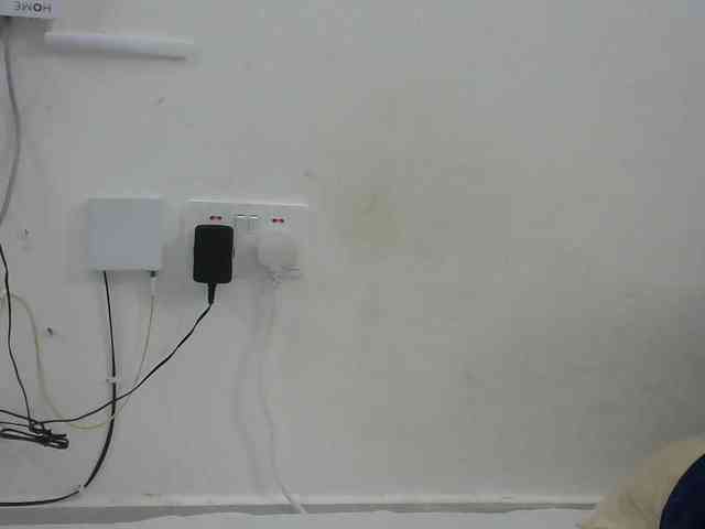 Hairysquiter webcam