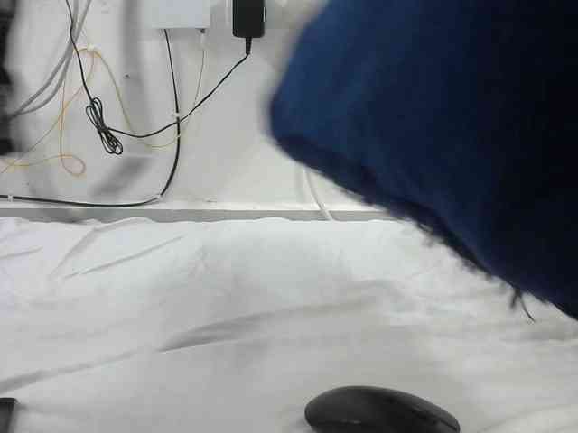 Hairysquiter webcam