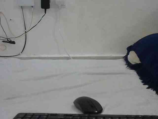 Hairysquiter webcam