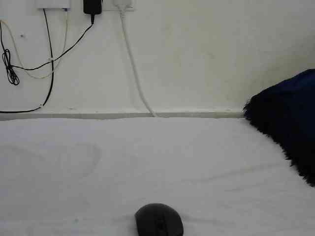 Hairysquiter webcam
