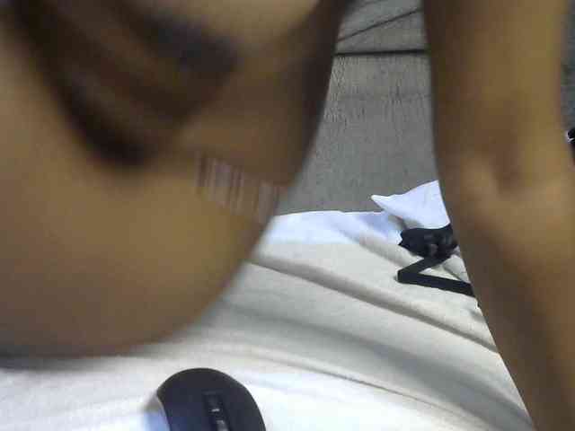 Hairysquiter webcam