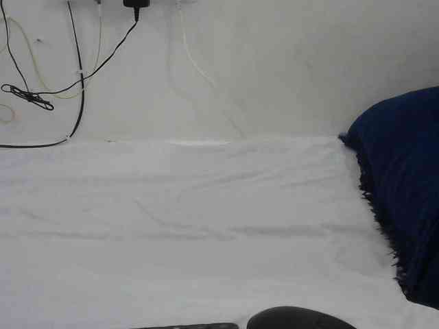Hairysquiter webcam