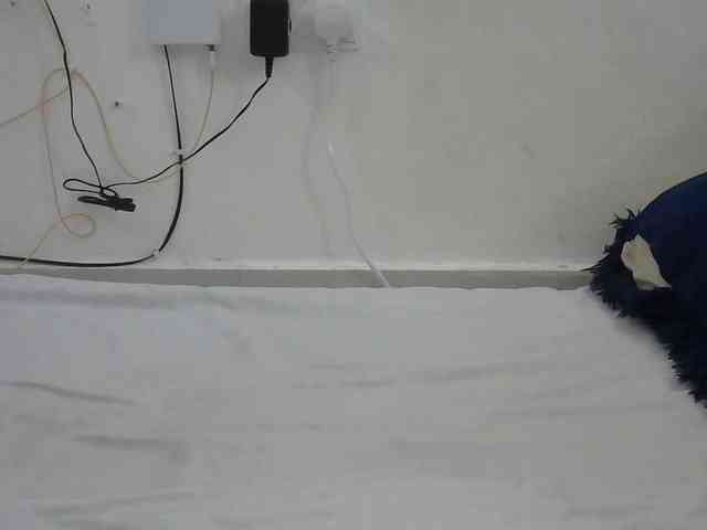 Hairysquiter webcam