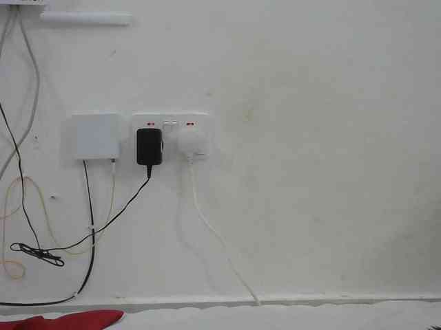Hairysquiter webcam