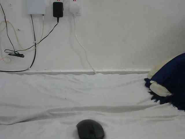 Hairysquiter webcam