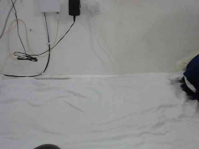 Hairysquiter webcam