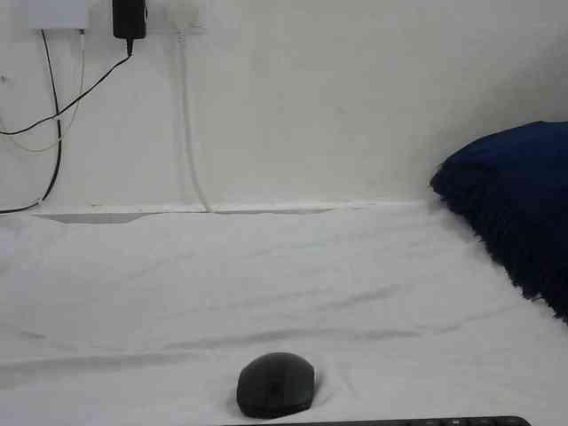 Hairysquiter webcam