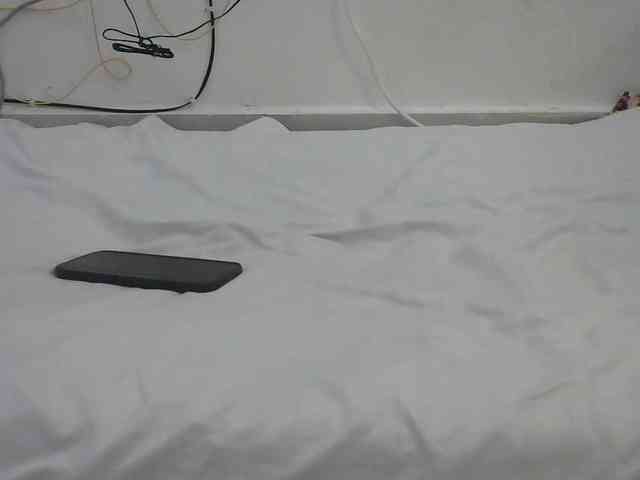 Hairysquiter webcam