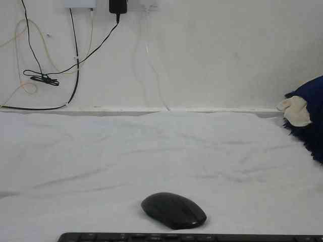 Hairysquiter webcam