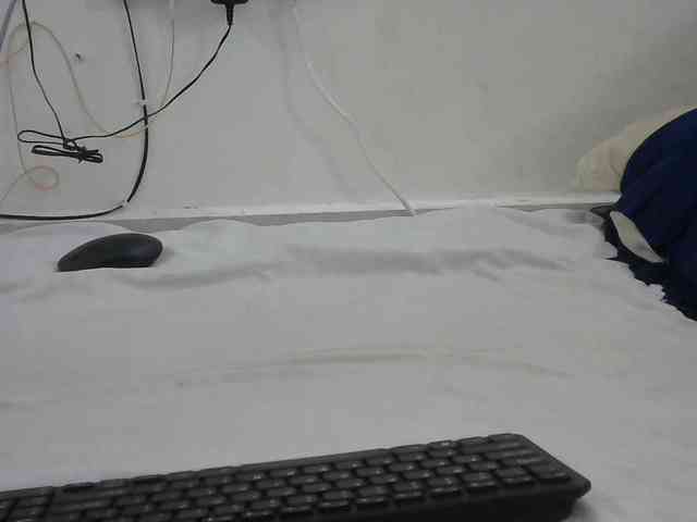 Hairysquiter webcam